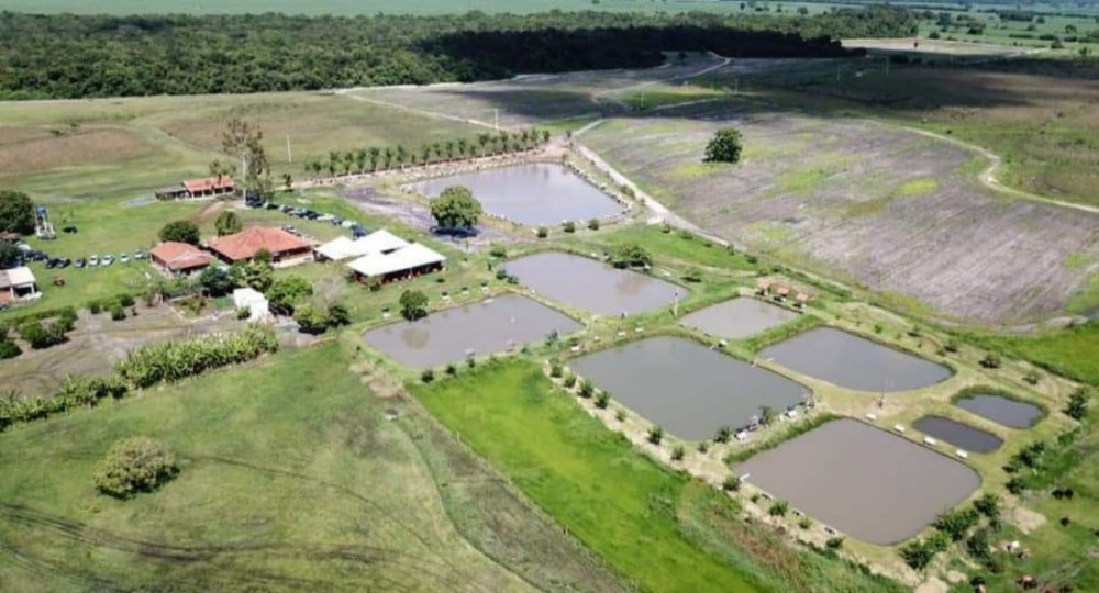 Fazenda - Venda - Jardim Quitandinha - Araraquara - SP